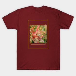 "Conebush Flower" with gold color framing T-Shirt